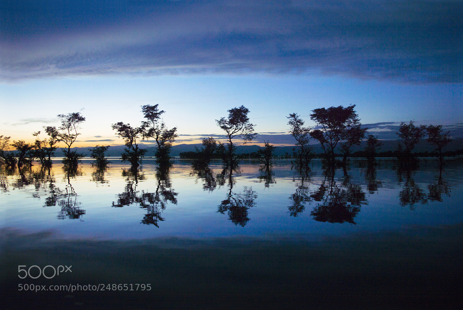 Nikon D3200 sample photo. Reflection photography
