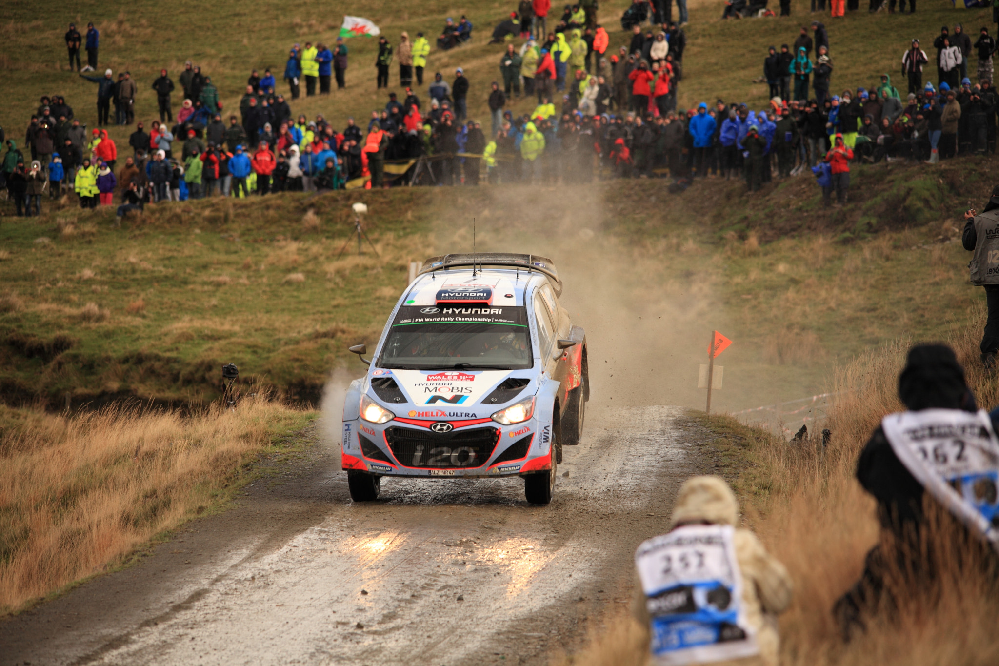 Canon 150-500mm sample photo. Dani sordo photography