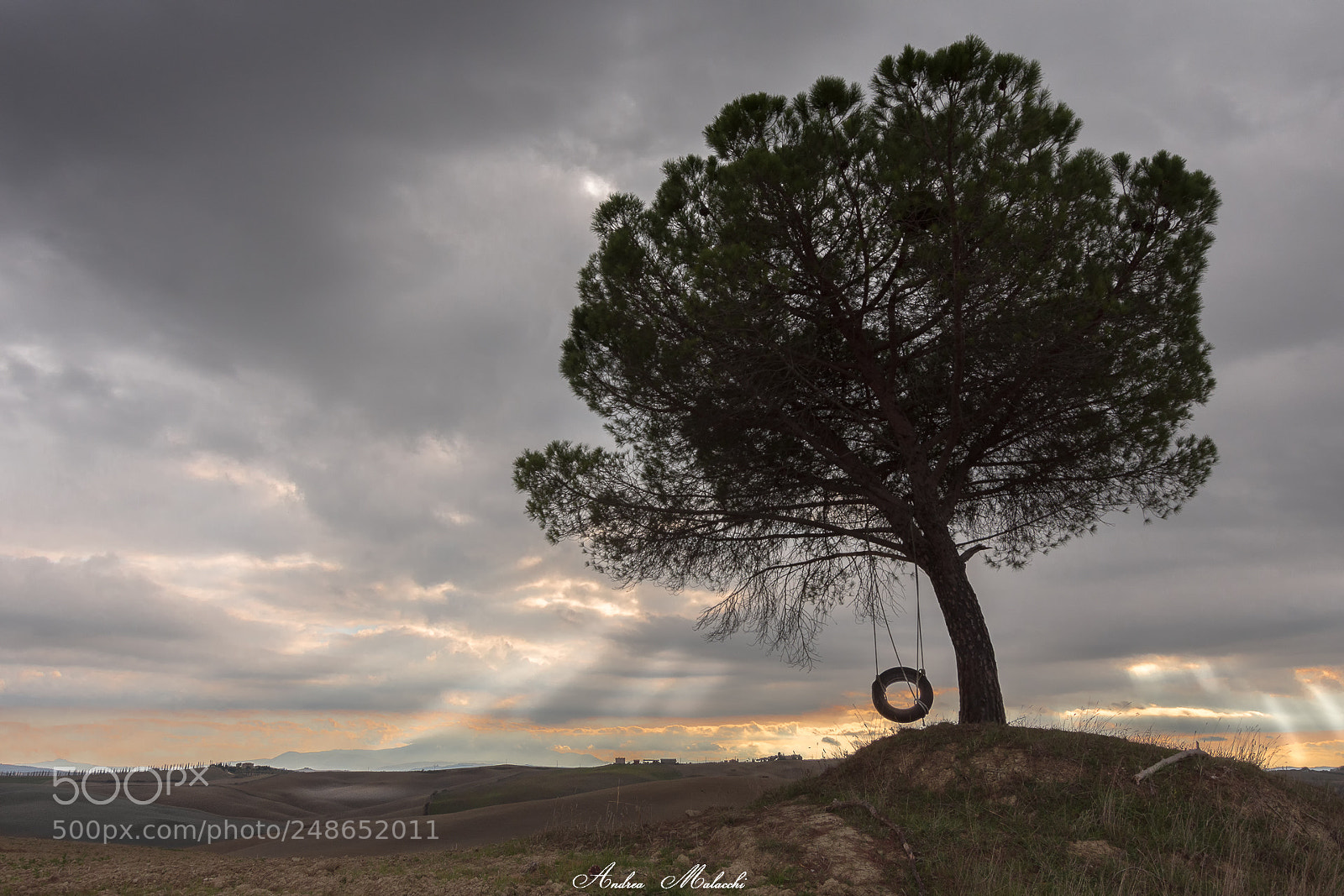 Nikon D7200 sample photo. Big nature light photography