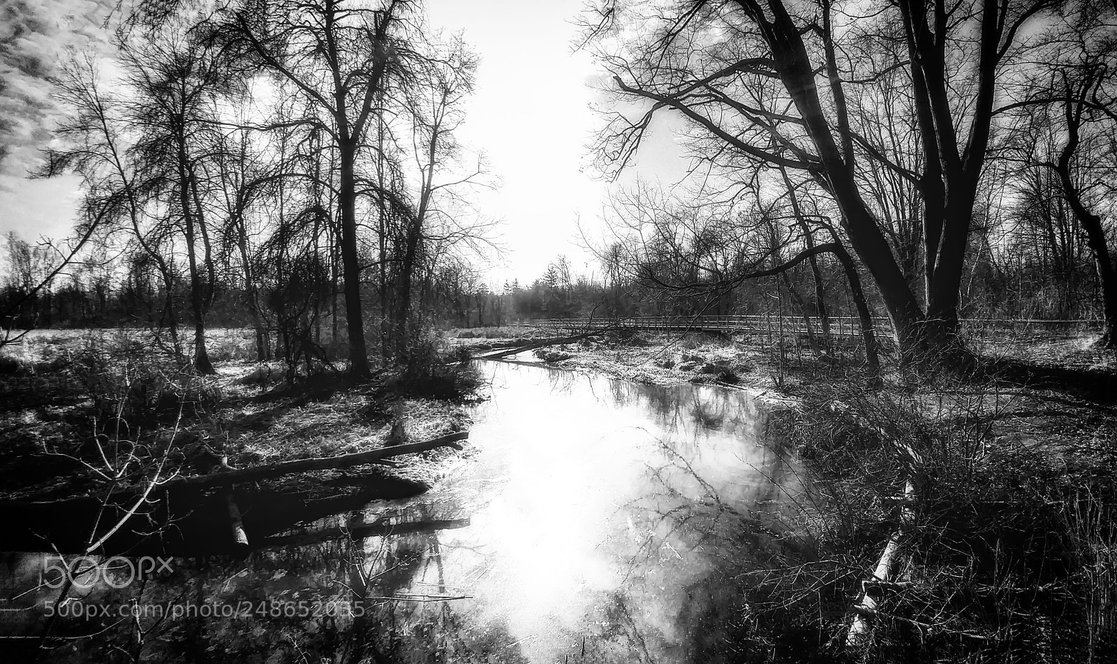 LG G5 sample photo. Rattray marsh photography