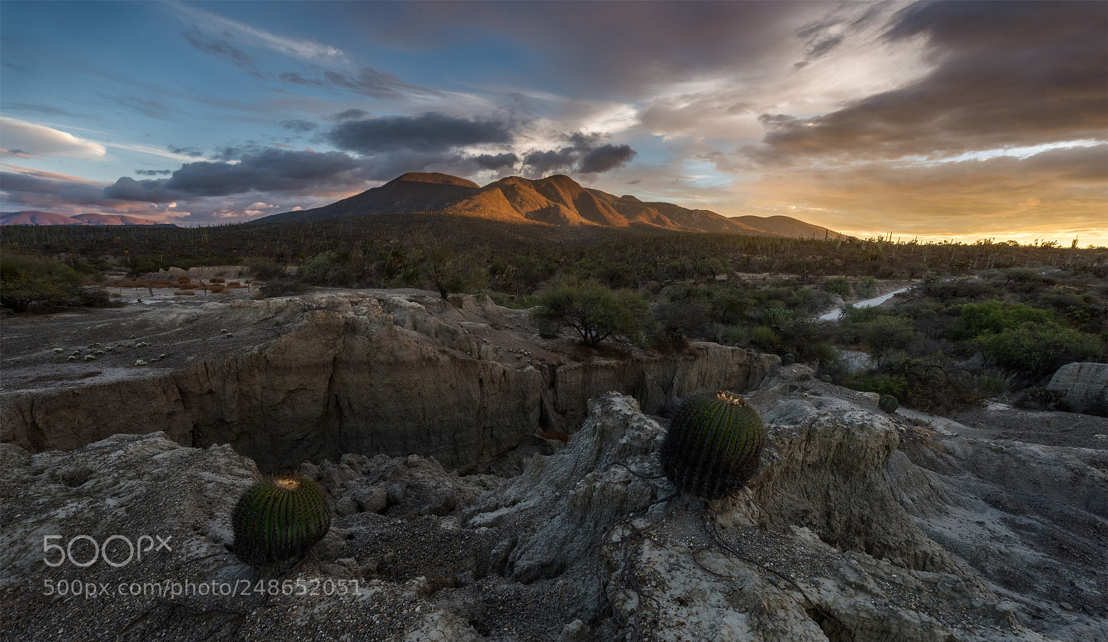 Nikon D810 sample photo. Zapotitlan magical sunset photography