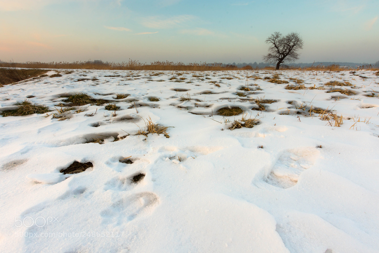 Nikon D7200 sample photo. Late winter photography