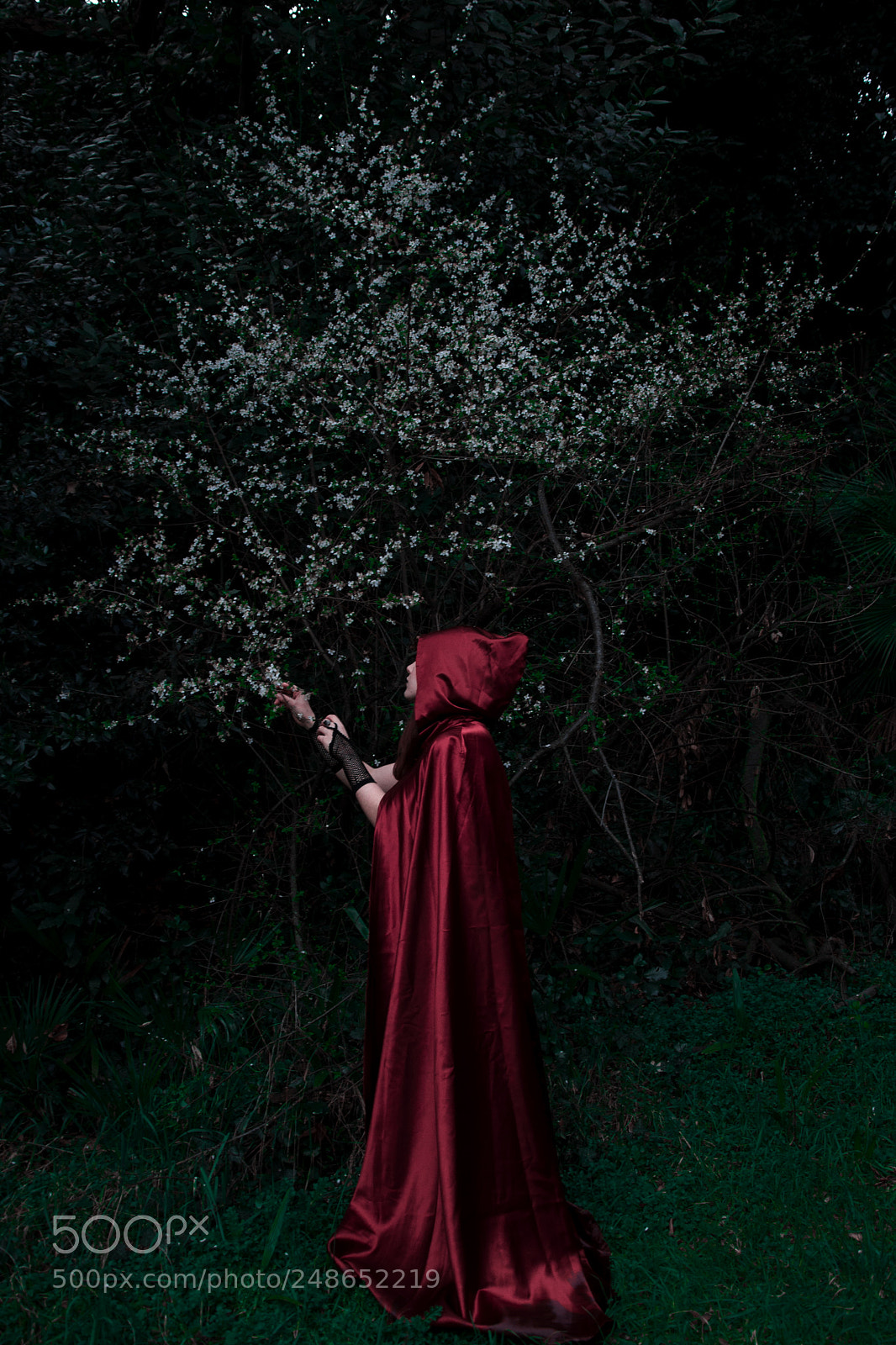 Nikon D90 sample photo. Little red riding hood photography