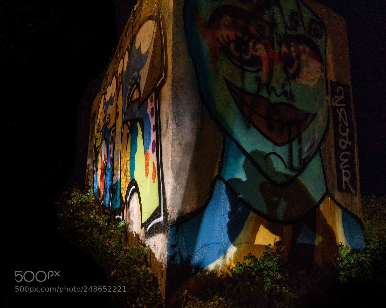 Nikon D5500 sample photo. Self shadow on graffiti photography