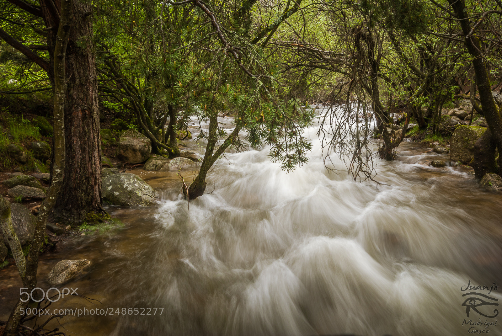 Nikon D60 sample photo. Turbulent water. photography