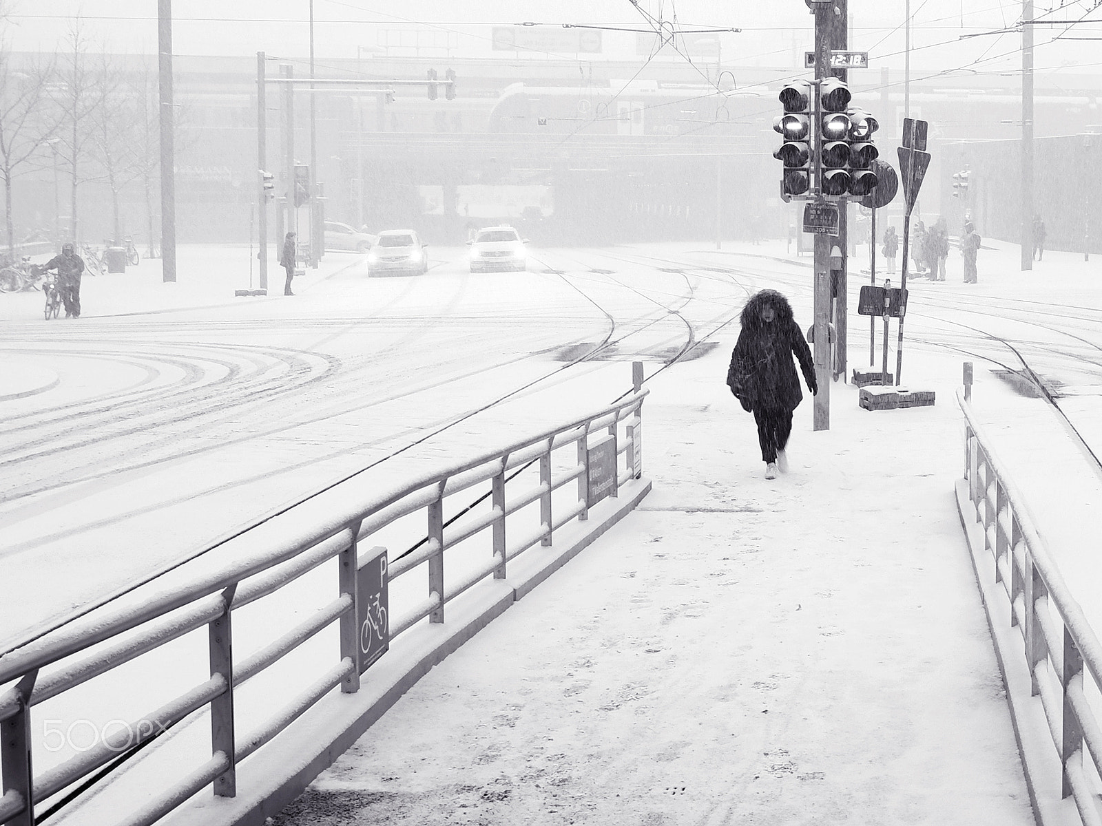 Fujifilm X-A5 sample photo. Through the snow photography