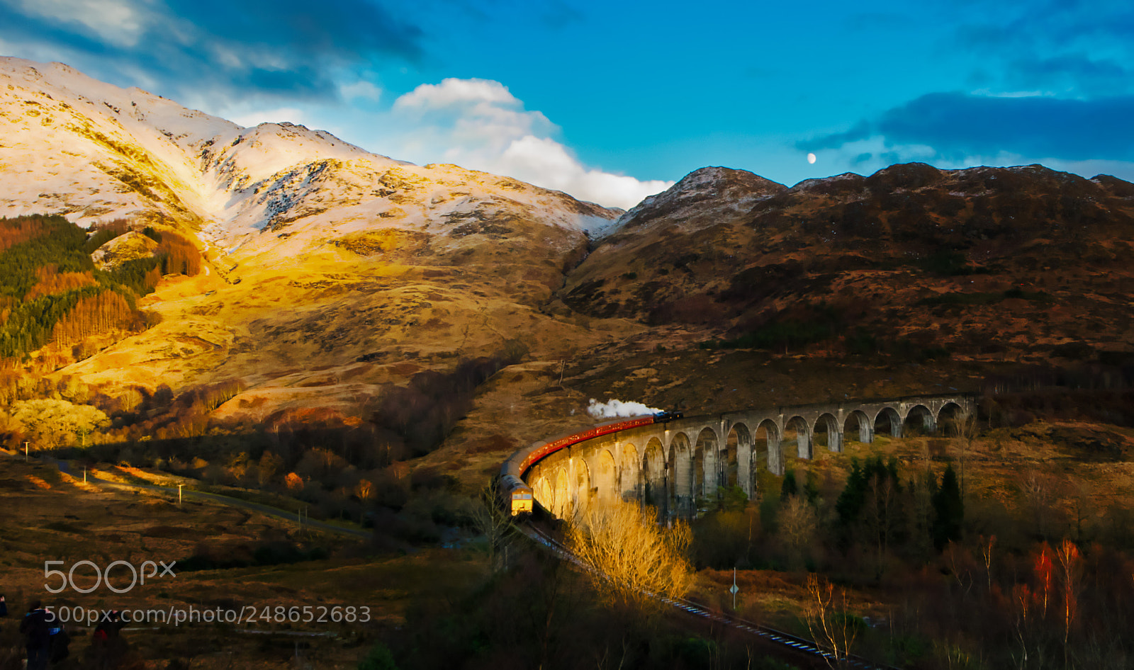 Nikon D5300 sample photo. Hogwarts express photography