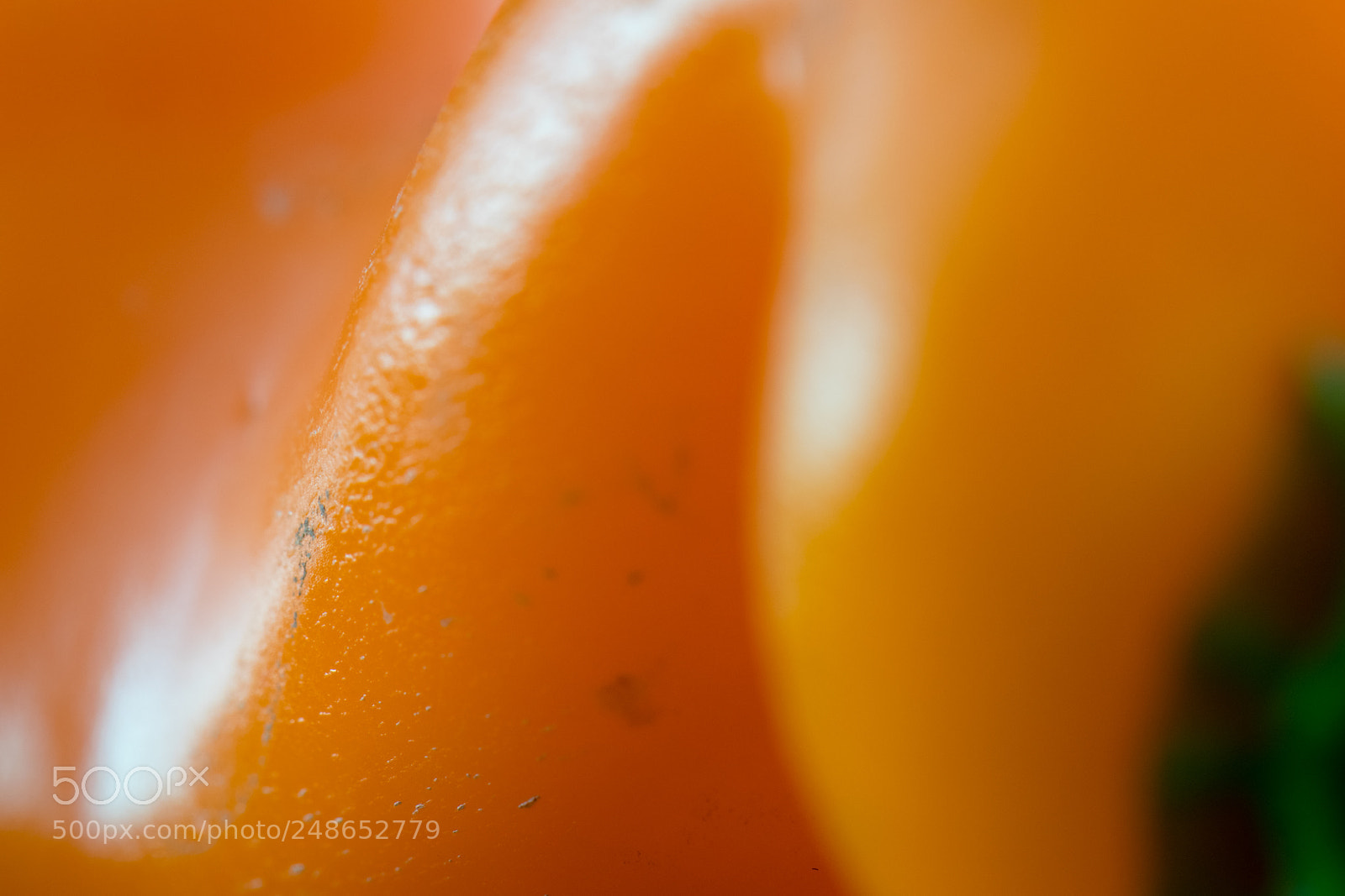 Nikon D5300 sample photo. Pepper no 6 - abstraction photography