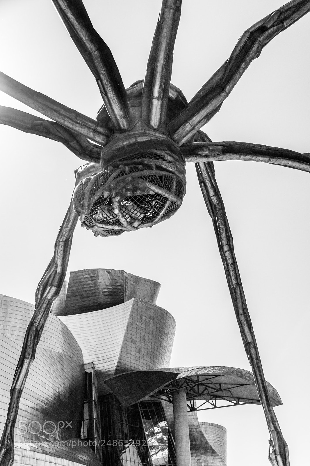 Canon EOS 80D sample photo. Guggenheim under the spider photography