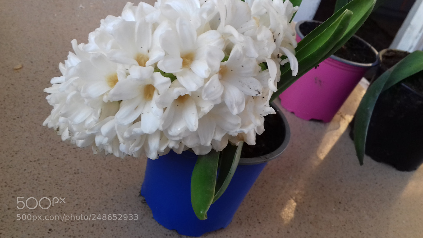 Samsung Galaxy J3(2016) sample photo. Untitled photography