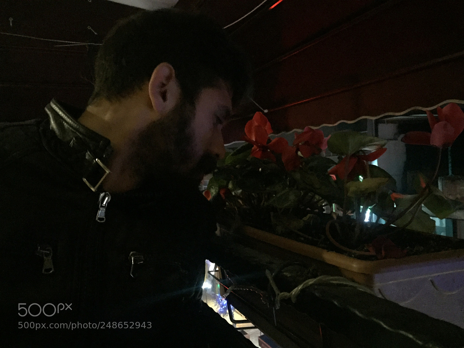 Apple iPhone 6 sample photo. Man and flowers photography