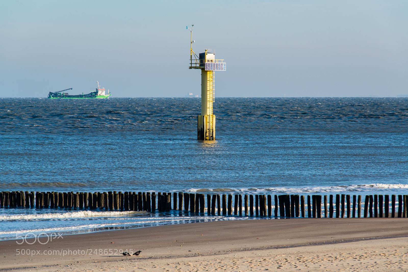 Nikon D610 sample photo. Beach near cadzand-bad photography