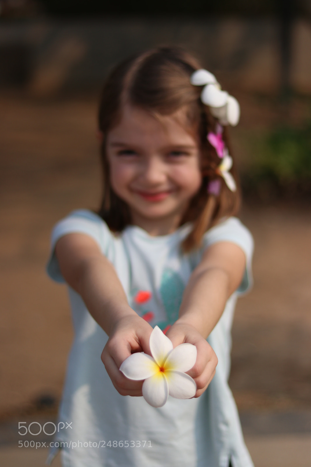 Canon EOS 80D sample photo. Une petite fleur photography