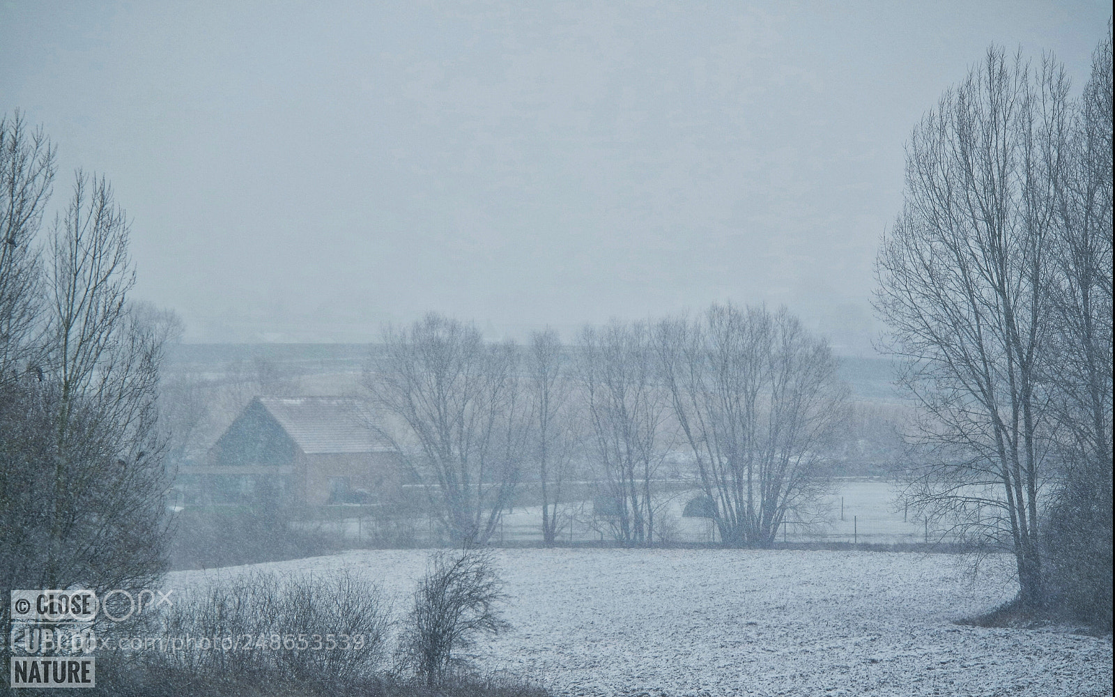 Samsung NX3000 sample photo. Chuuuuut, la neige. photography