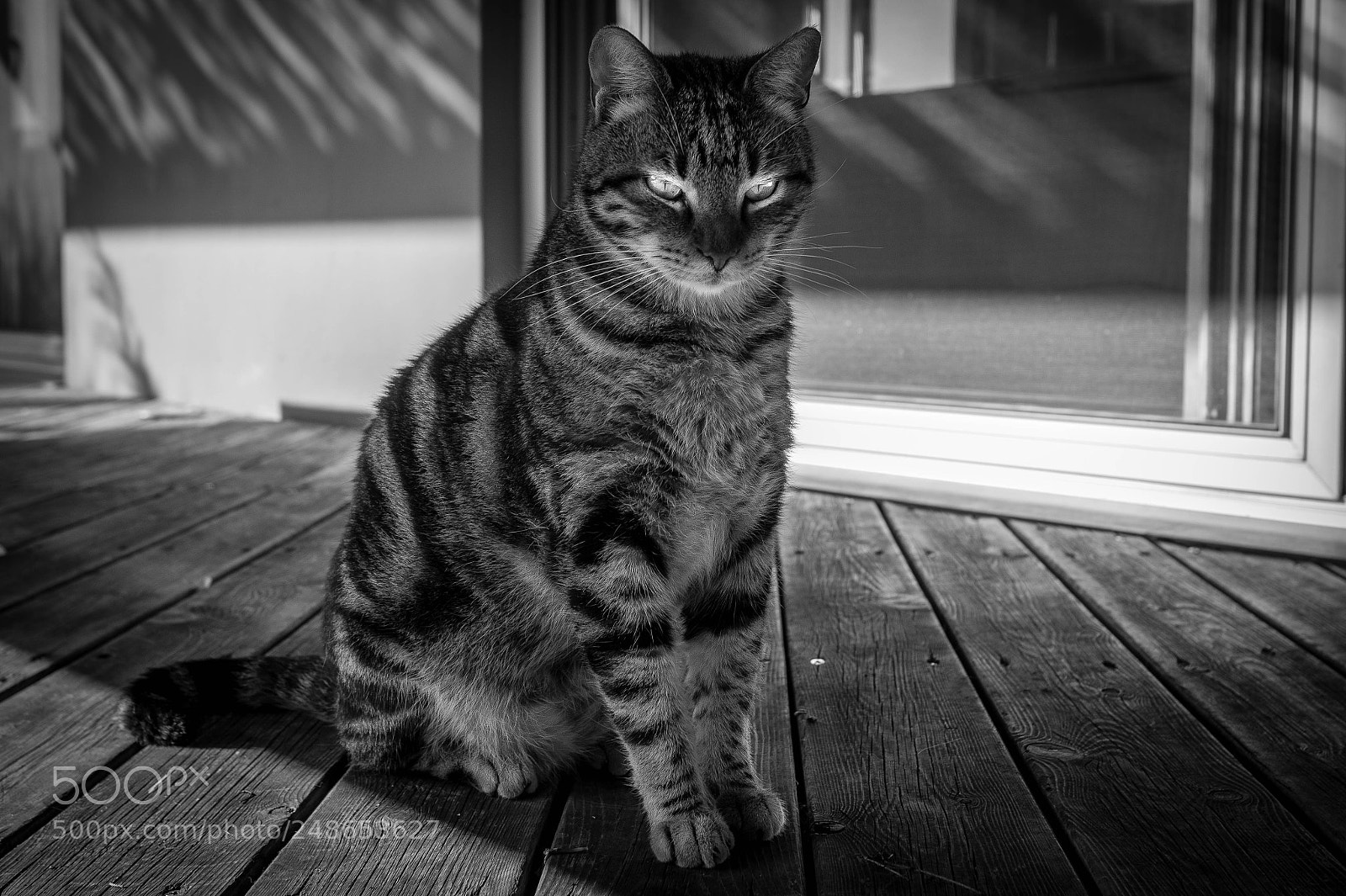 Nikon D850 sample photo. 850_0507.jpg photography