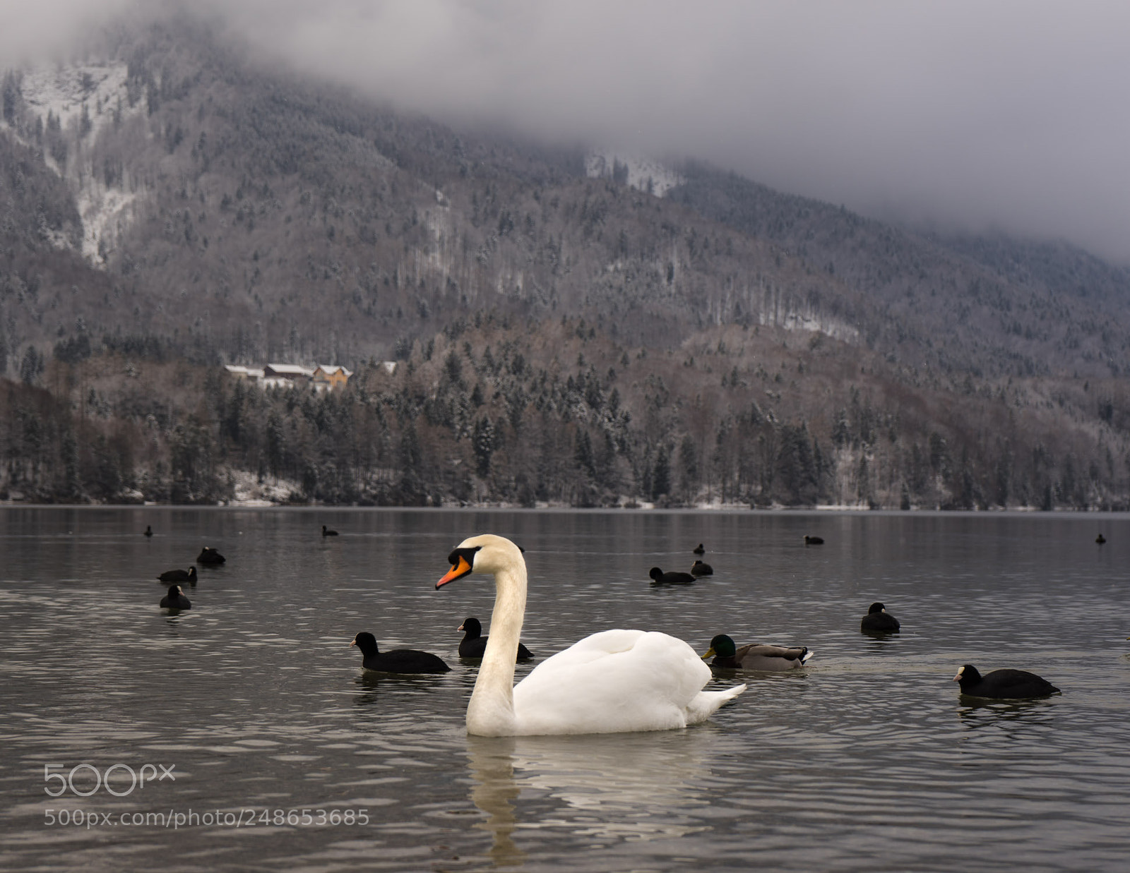 Sony a7 sample photo. Untitled photography