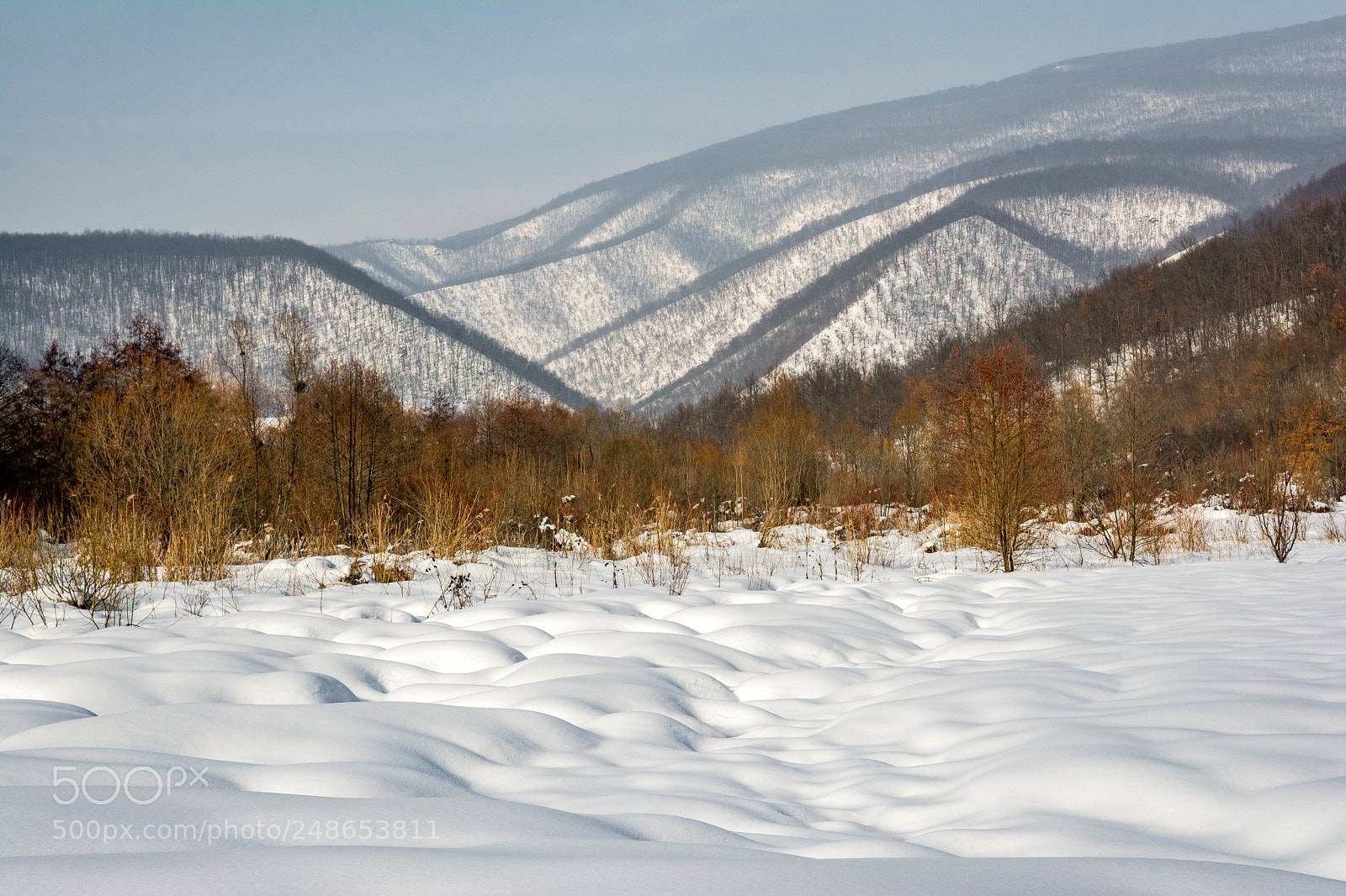 Nikon D7100 sample photo. Zima photography