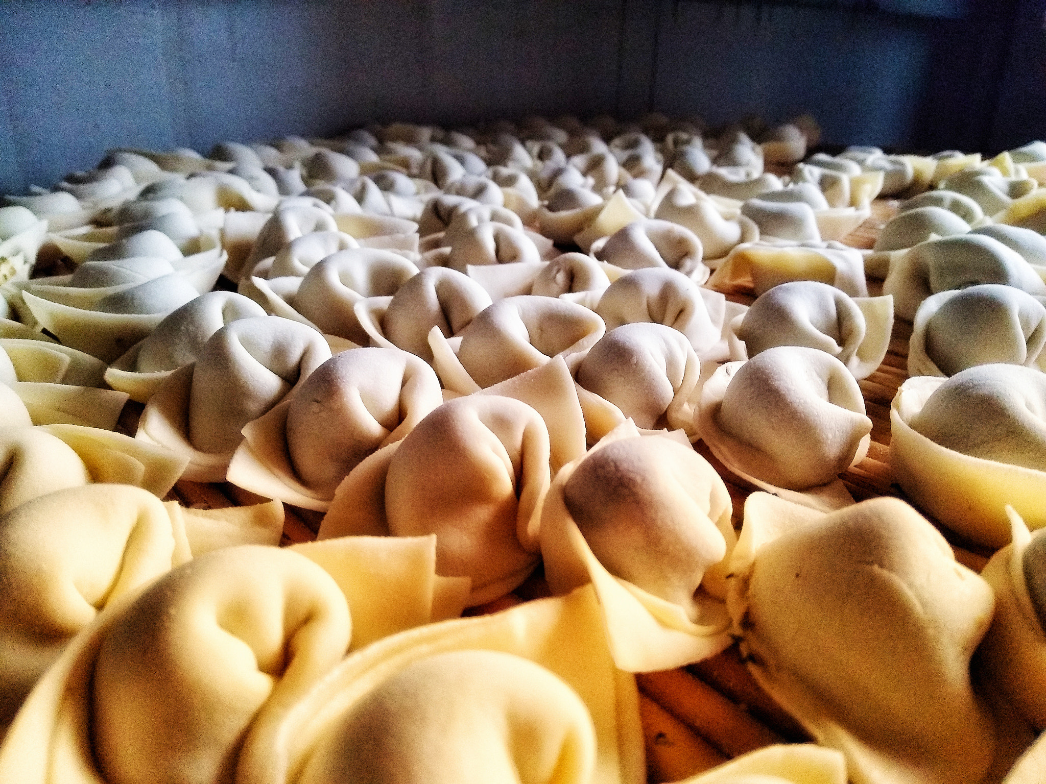 vivo X9 sample photo. Dumplings photography