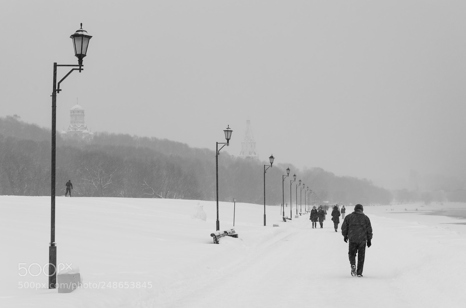 Nikon D5100 sample photo. A walk in the photography