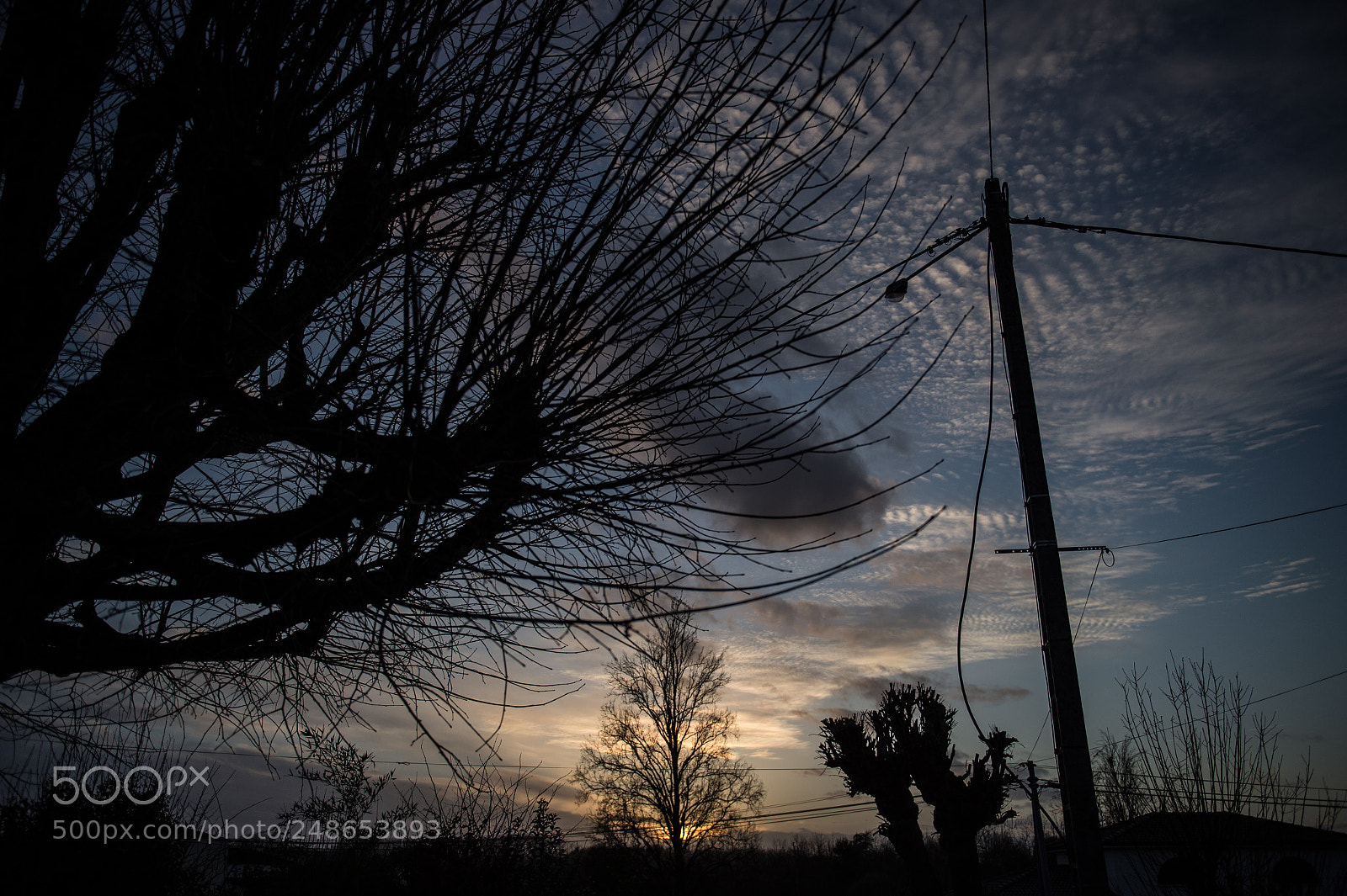 Nikon D4S sample photo. Let the sun going photography