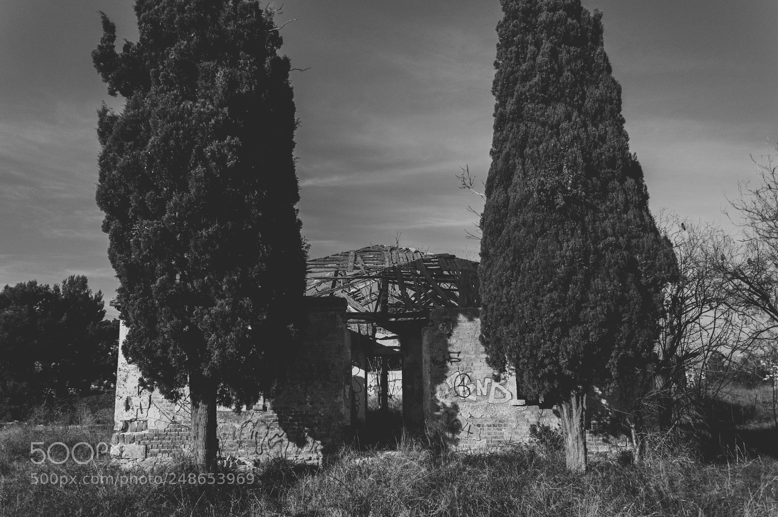 Nikon D3200 sample photo. Abandoned photography
