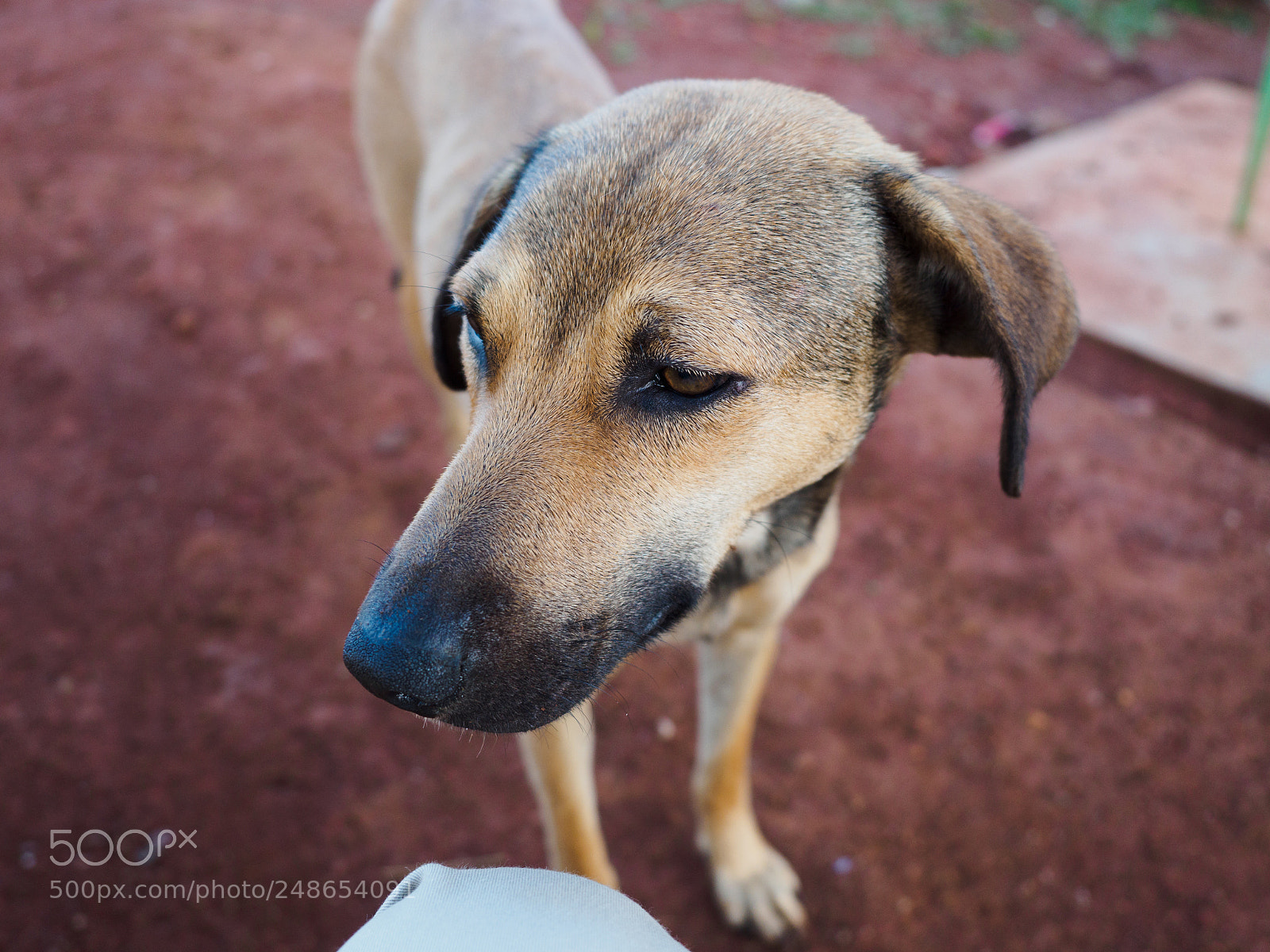 Olympus OM-D E-M5 II sample photo. Untitled photography