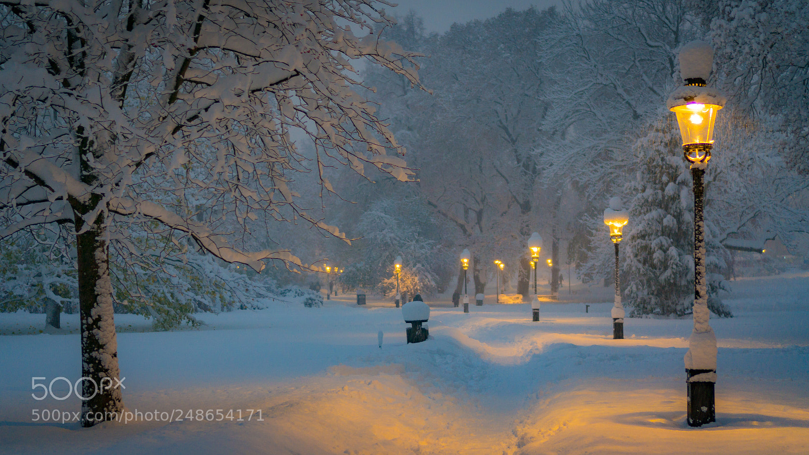 Sony Alpha NEX-6 sample photo. Winter park photography