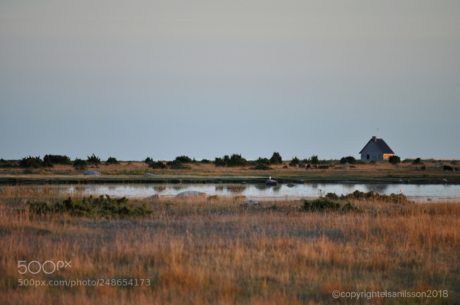 Nikon D5000 sample photo. House by the ocean photography