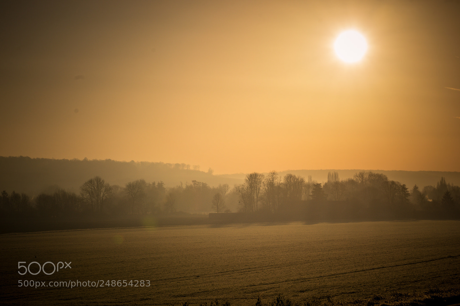 Nikon D3100 sample photo. Au soleil levant photography