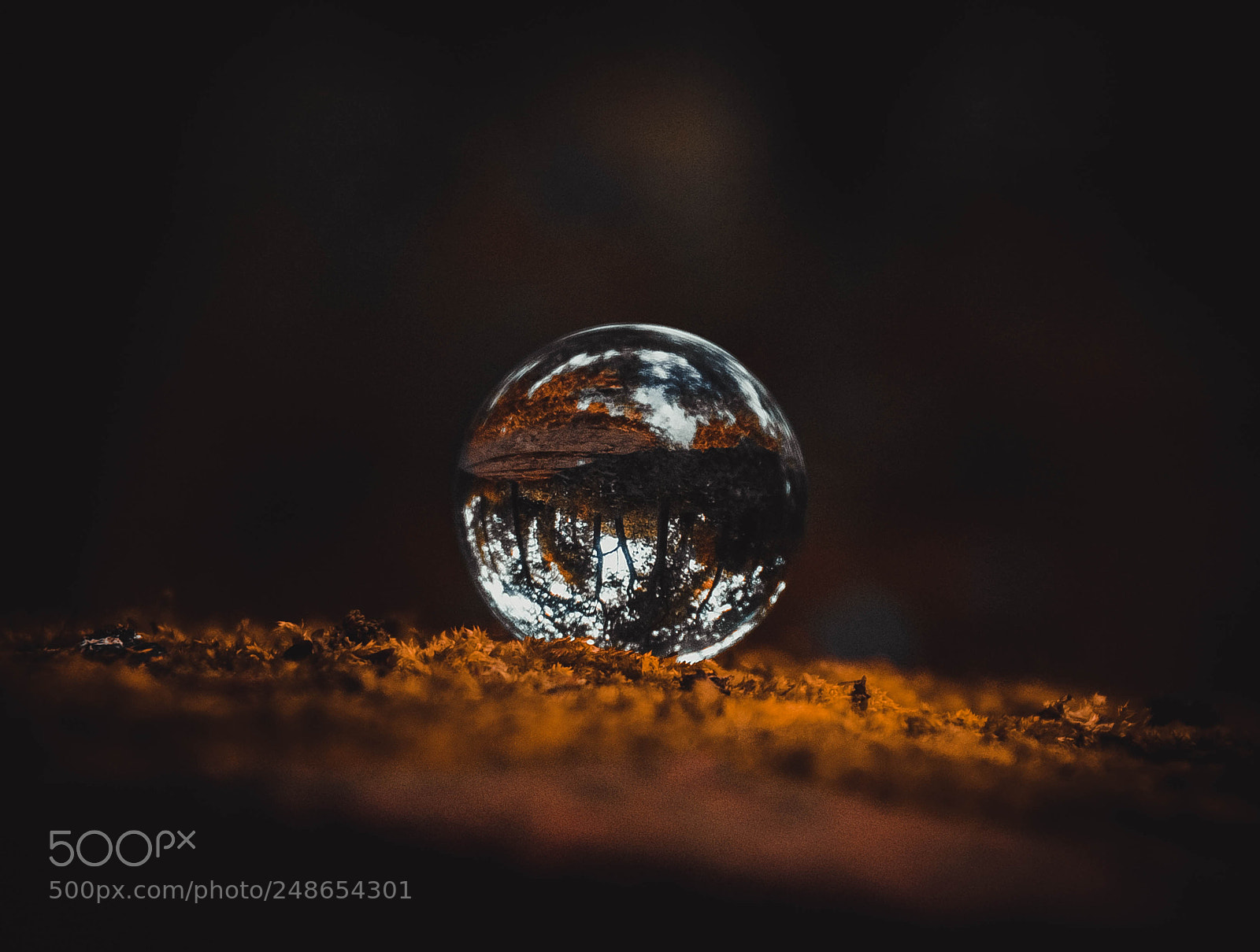 Nikon D2X sample photo. Reflected perspective photography