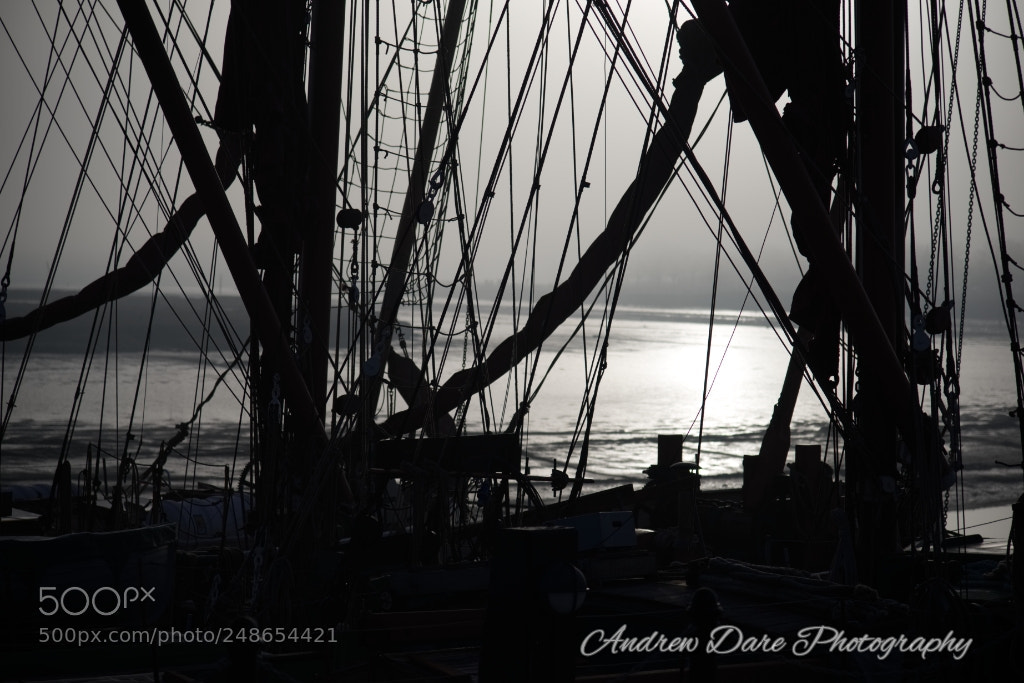 Nikon D810 sample photo. Boats ii photography