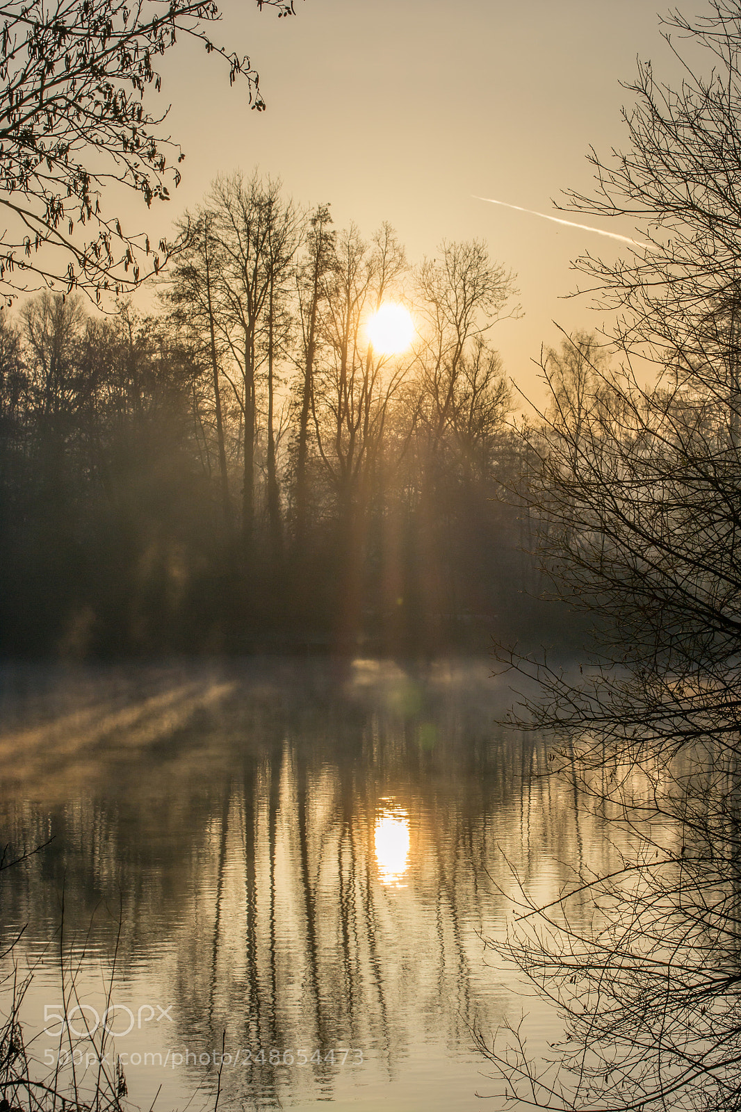 Nikon D3100 sample photo. Au soleil levant photography