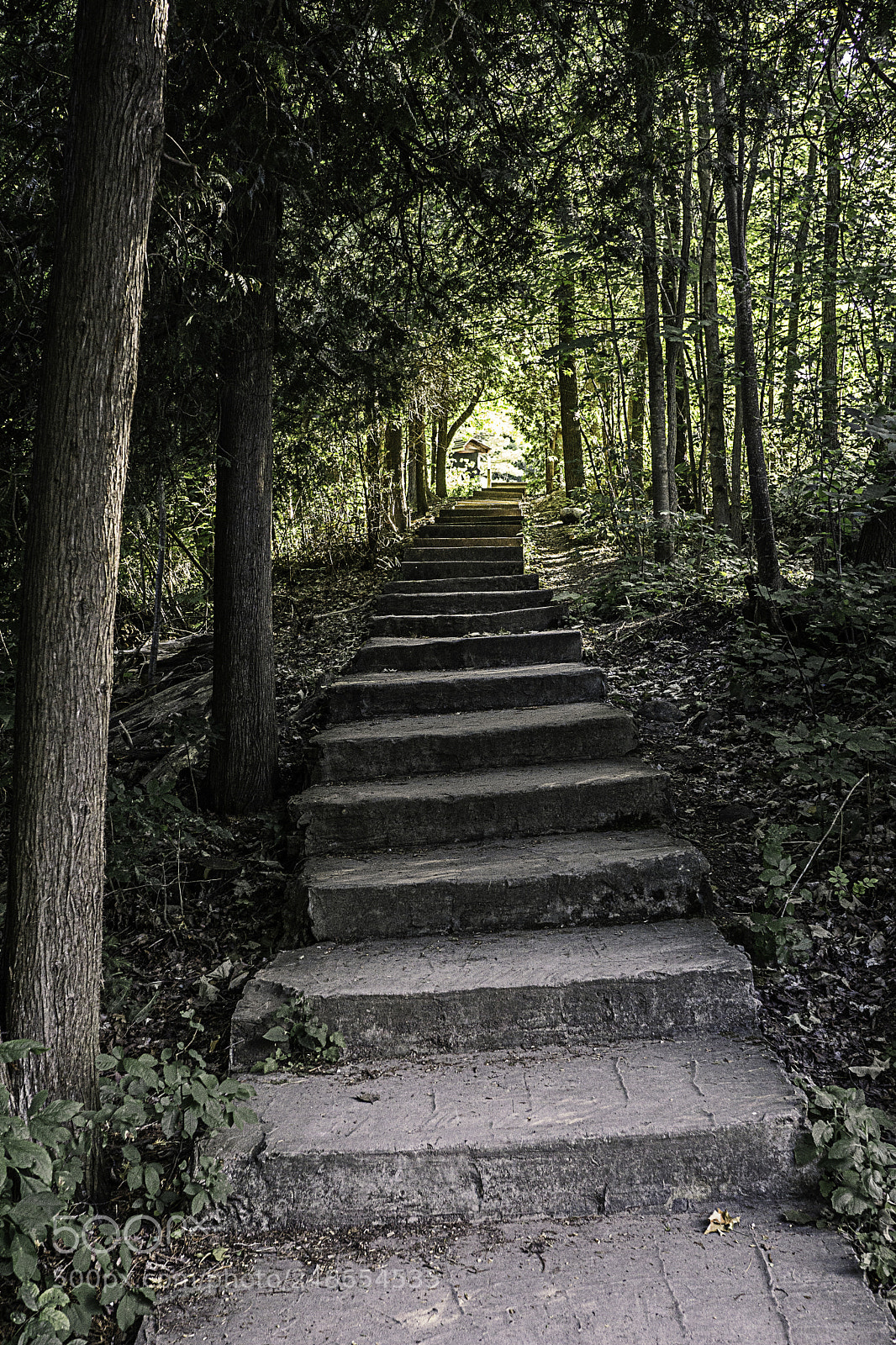 Sony a6000 sample photo. Belfounstairs photography