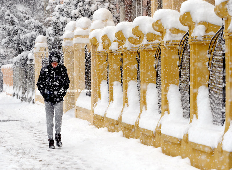 Olympus OM-D E-M1 Mark II sample photo. Snow day in the photography