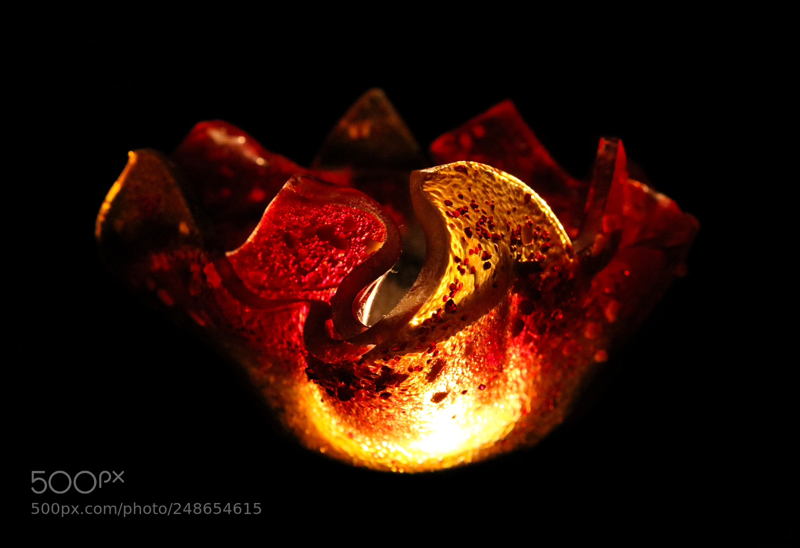 Canon EOS 750D (EOS Rebel T6i / EOS Kiss X8i) sample photo. Fire flower photography
