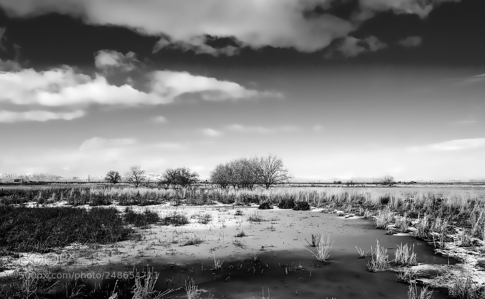 Pentax K20D sample photo. West desert in winter photography