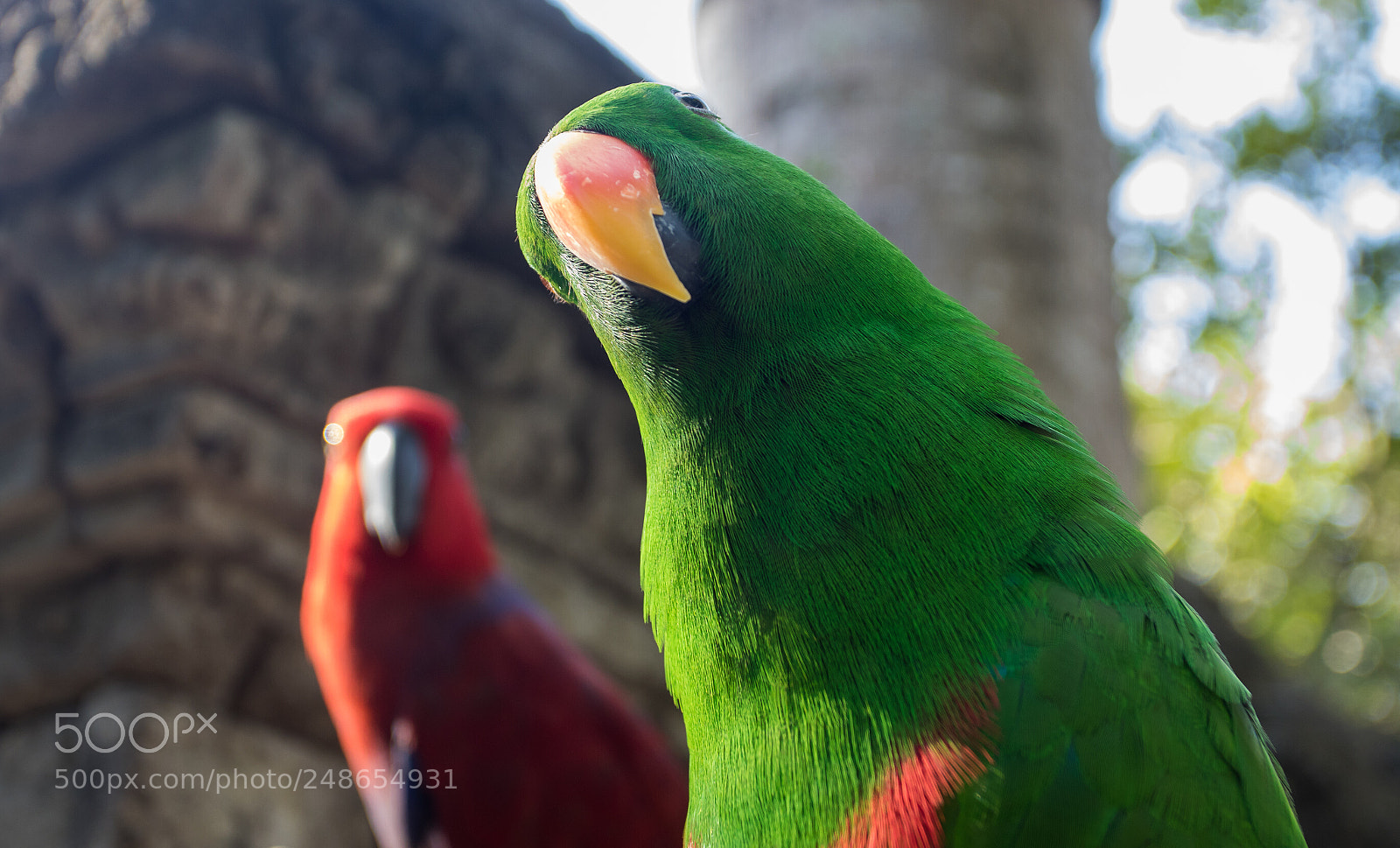 Canon EOS 7D Mark II sample photo. What?? photography