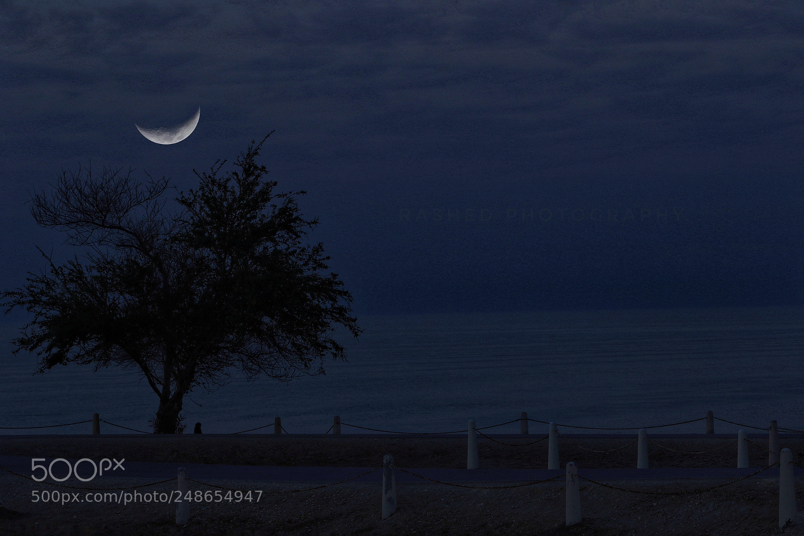 Canon EOS 7D Mark II sample photo. Untitled photography