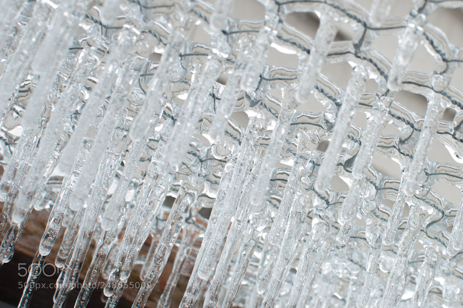 Nikon D5000 sample photo. Frozen cage photography
