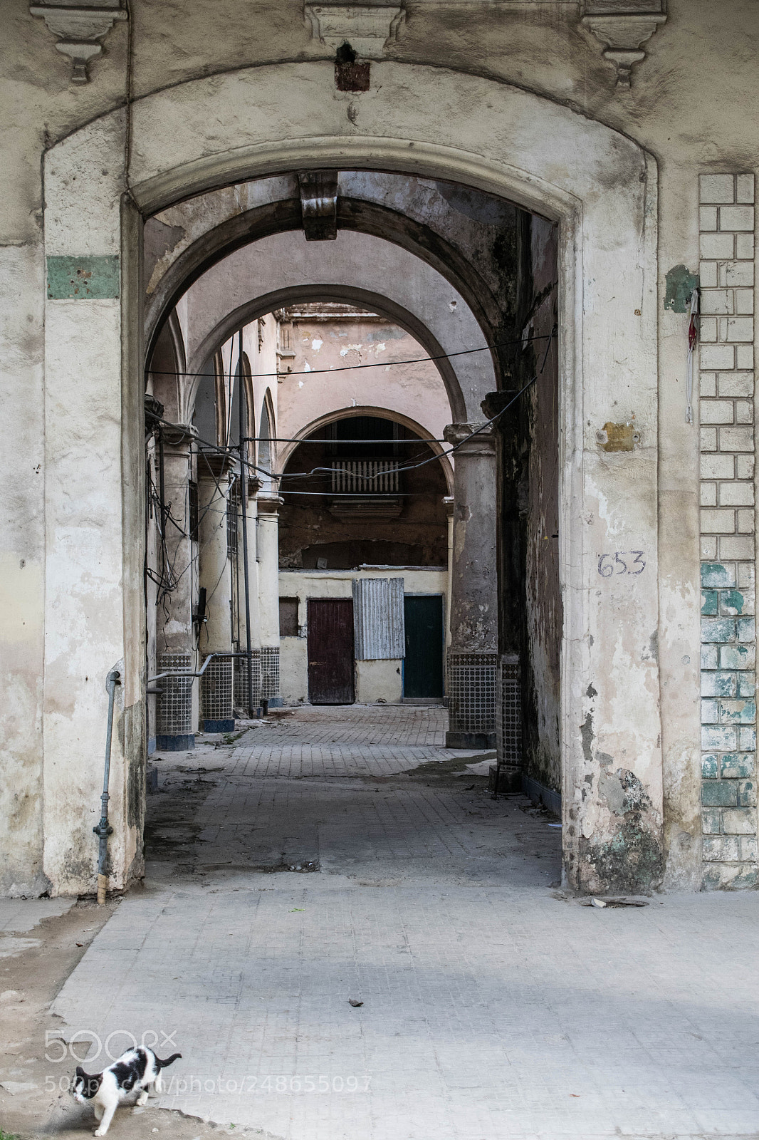Nikon D5300 sample photo. Door photography