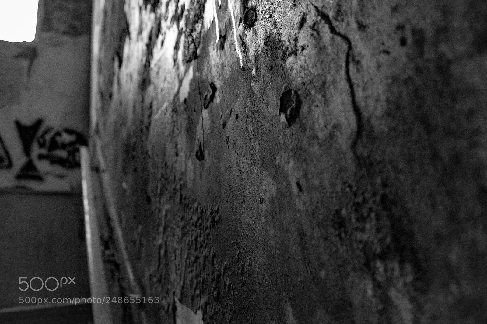 Canon EOS 600D (Rebel EOS T3i / EOS Kiss X5) sample photo. B&w damaged wall photography