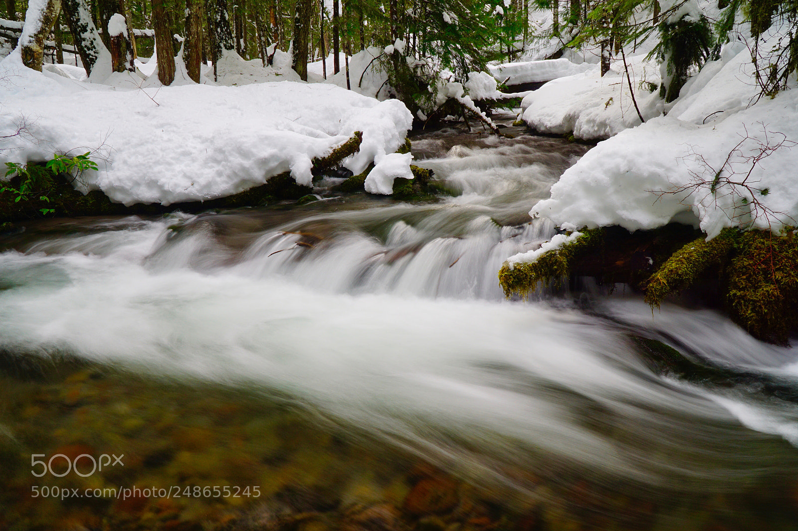 Sony a6000 sample photo. Winter on little zigzag photography