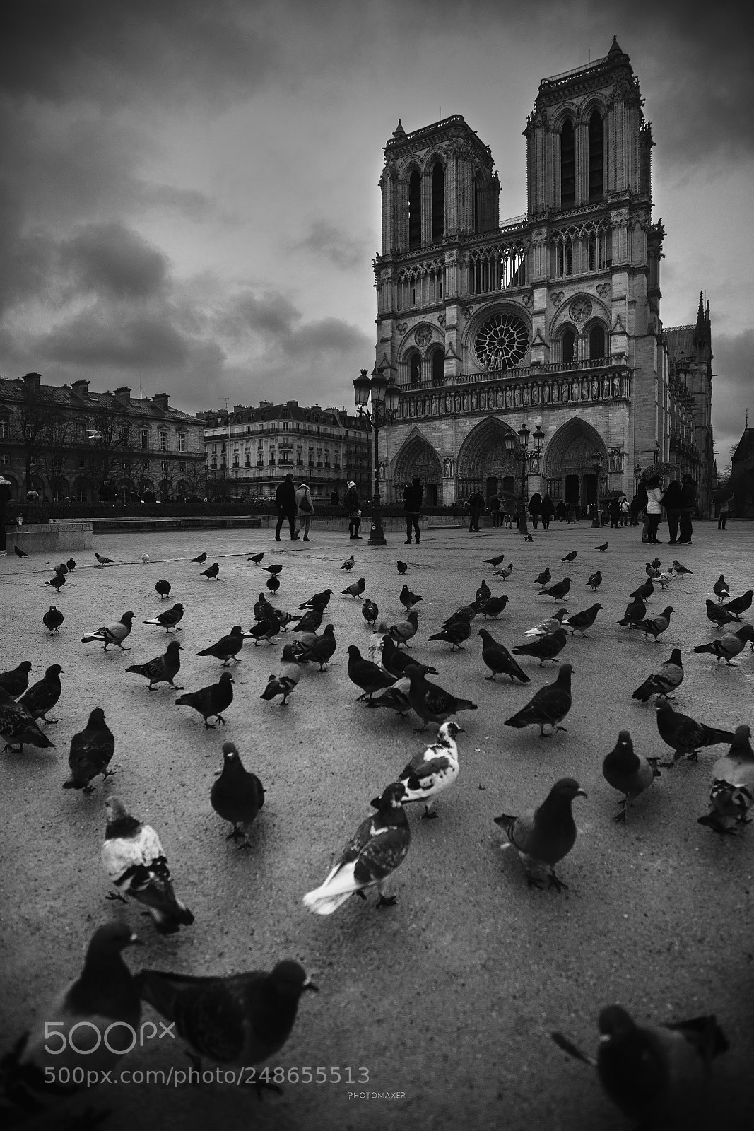 Canon EOS 5DS R sample photo. Notre dame photography
