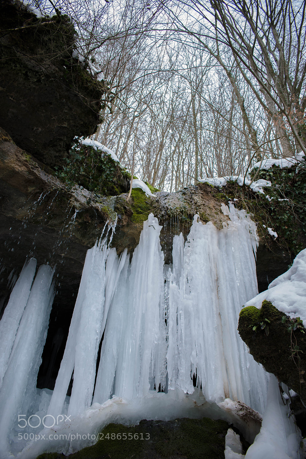 Nikon D5300 sample photo. Last days of ice photography