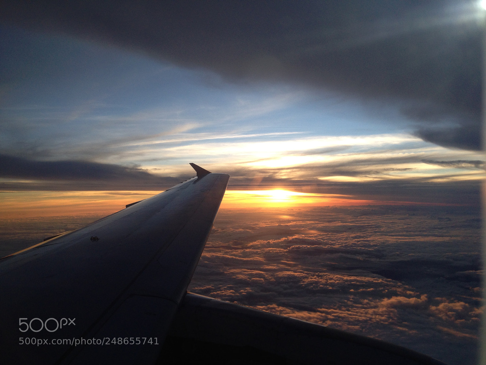 Apple iPhone 5 sample photo. Fly high. photography