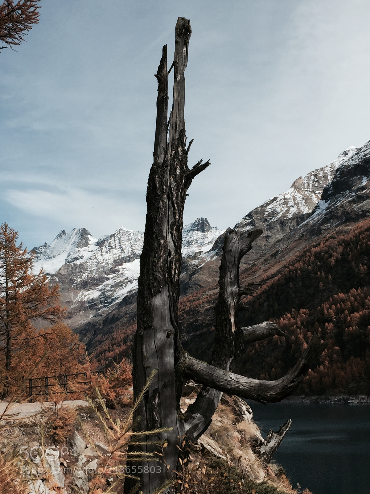 Apple iPhone 6 sample photo. Natural statue photography