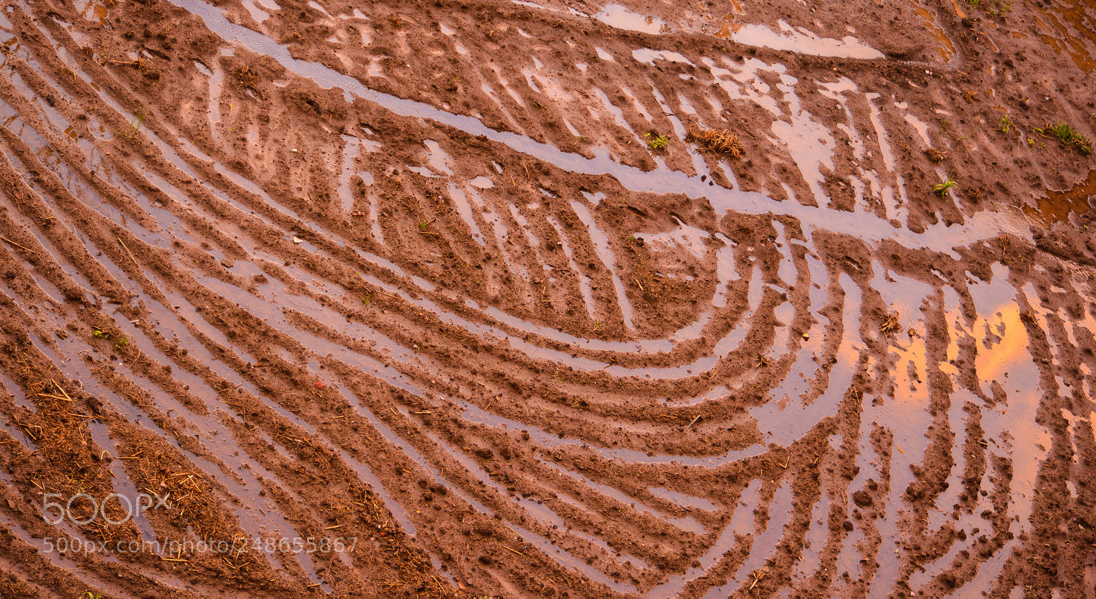 Nikon D5200 sample photo. Landart!! photography