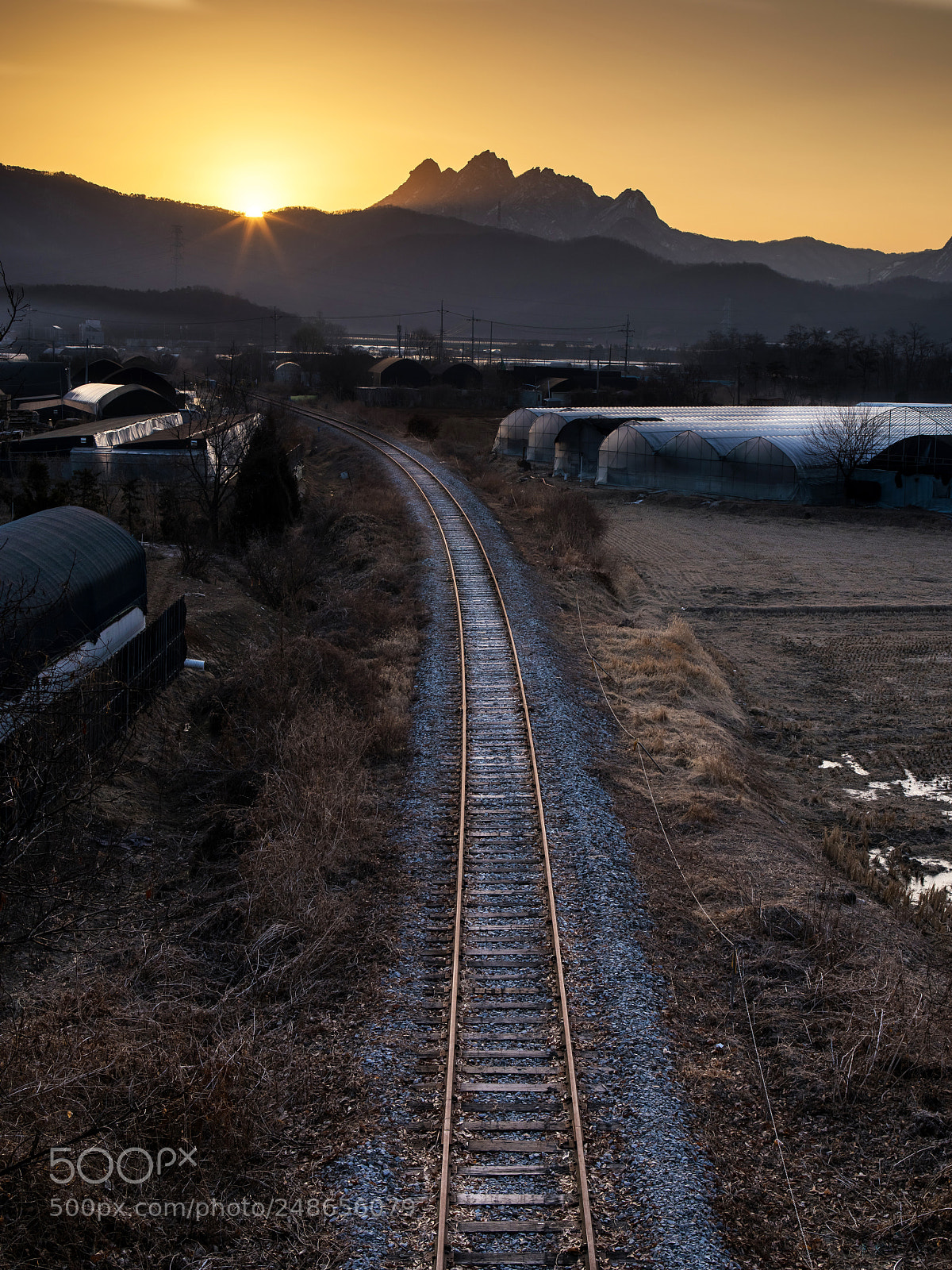 Pentax 645Z sample photo. Untitled photography