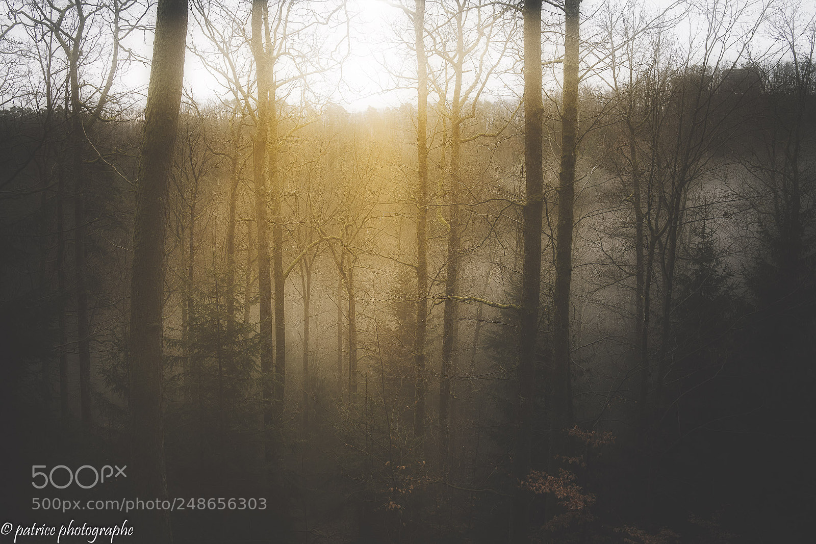 Sony a7R II sample photo. Lueur/ glow photography