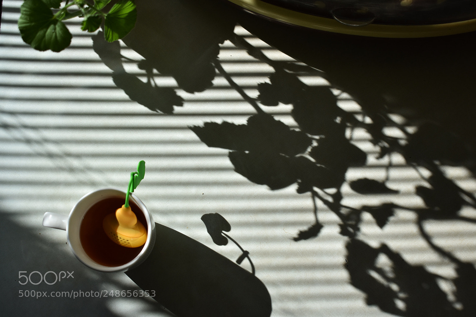 Nikon D3400 sample photo. Curtains photography